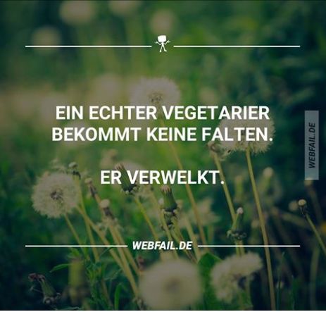 cc6cb50e73b6dff4462bd4202657f52f_1024.png