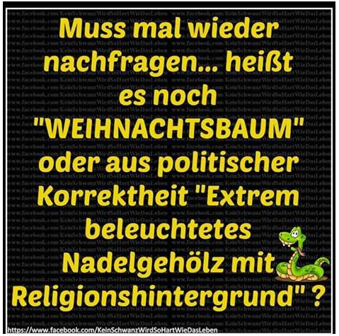08e2afd3ea3e9fed38b6b18efbb67a7f_view.png