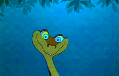 t07f127_tumblr_m7s006r8hZ1rcpk1ko1_500.gif