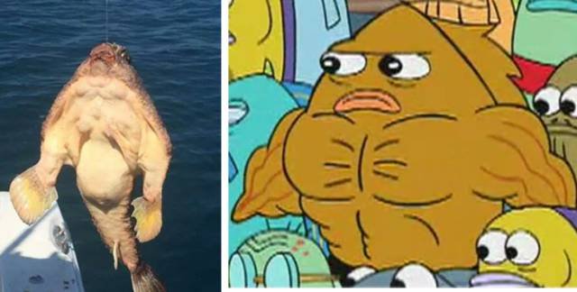 picdump-15-11-20-071.jpg