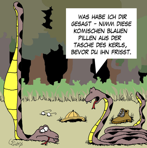schlangen_2058915.jpg