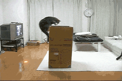 animated-gifs-04.gif