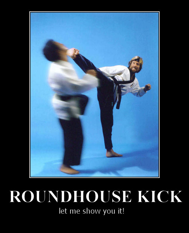 tUAFtQk_roundhouse_kick.jpg