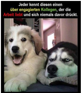 6b5474a2ddd30491180844fffa3a69a8_view.png