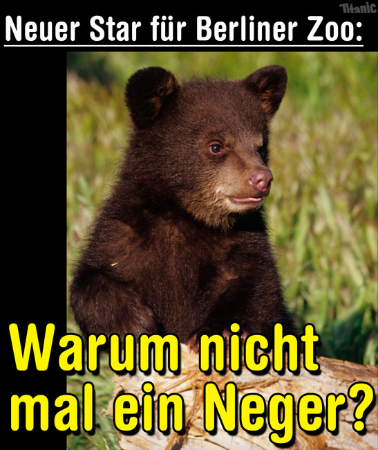 Knuts-Nachfolger.jpg