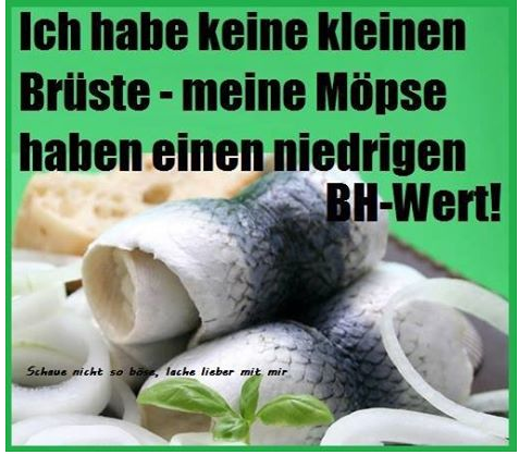 15baecf59e7ef6236c4e1fdad72b228f_view.png