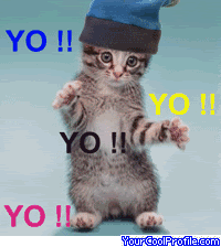 funny-cats-m.gif